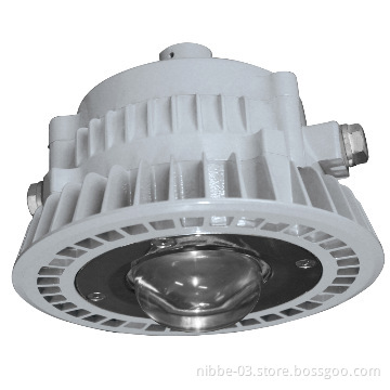 10W UL explosion-proof LED bulb